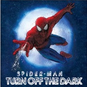 Spider-Man: Turn off the Dark