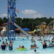 Swim in Coney Island's Sunlite Pool