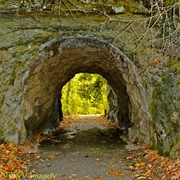 Sehome Hill Arboretum, Bellingham