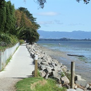 Kulim to Fergusson Park, Tauranga