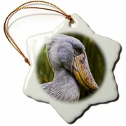 African Shoebill Ornament