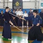 Niten Ichi Ryu