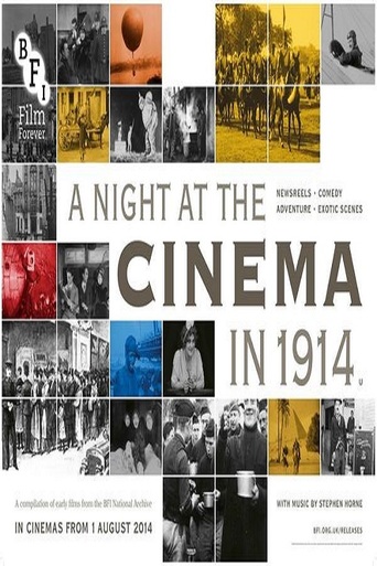 A Night at the Cinema in 1914 (2014)