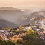 Mt. Yoshino (Japan)