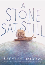 A Stone Sat Still (Brendan Wenzel)