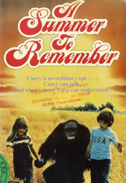 A Summer to Remember (1985)