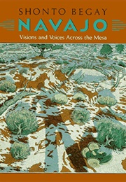 Navajo: Visions and Voices Across the Mesa (Shonto Begay)