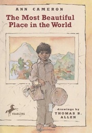 The Most Beautiful Place in the World (Ann Cameron)