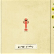 Sweet Shrimp