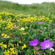 Yorkshire Dales National Park & North Pennines AONB, England