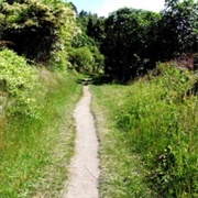 Ohope Scenic Reserve