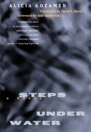 Steps Under Water (Alicia Kozameh)