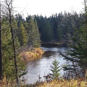 Sandilands Provincial Forest