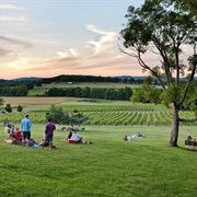 Arrington Vineyards