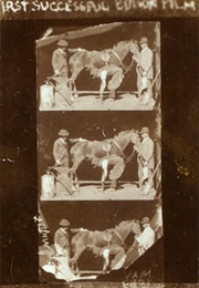Horse Shoeing (1893)