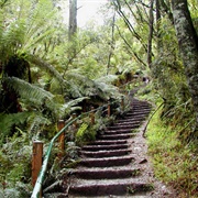 Upper Ferntree Gully