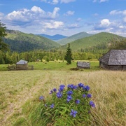 Carpathian Mountains, Ukraine