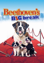Beethoven&#39;s Big Break (2008)
