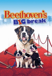 Beethoven's Big Break (2008)