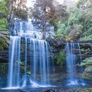 Russell Falls, Tasmania