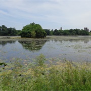 Watkins Lake State Park and County Preserve