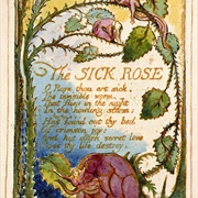 The Sick Rose (William Blake)