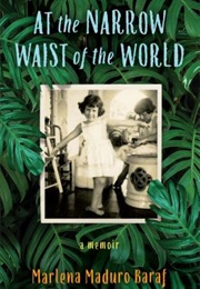 At the Narrow Waist of the World (Baraf)