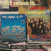 Various Artists - Nice Enough To... Join in (Island Records) (1992)