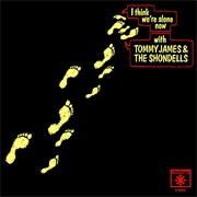 Tommy James &amp; Shondells - I Think We&#39;re Alone Now
