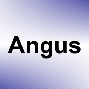 Angus