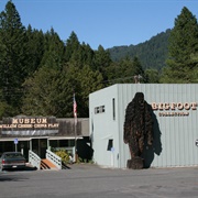 Willow Creek, California