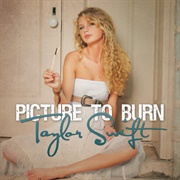 Pictures to Burn - Taylor Swift
