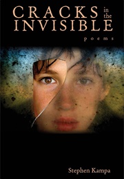 Cracks in the Invisible (Stephen Kampa)