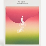 Naive Porcini Mushroom Chocolate Bar