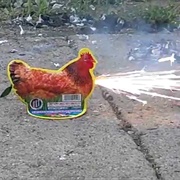 Chicken Novelty
