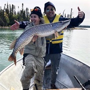 Hook a Northern Pike (NT)