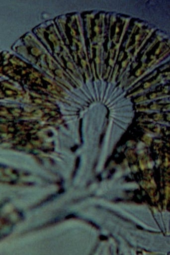 Diatoms (1968)