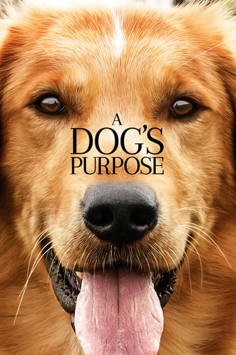 A Dog&#39;s Purpose (2017)