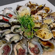 Oysters in Tasmania