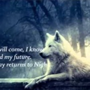 A Promise That I'll Keep -Wolfblood