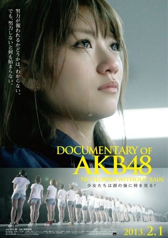 Documentary of AKB48 : No Flower Without Rain (2013)