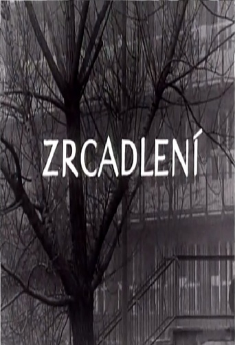 Zrcadlení (1966)