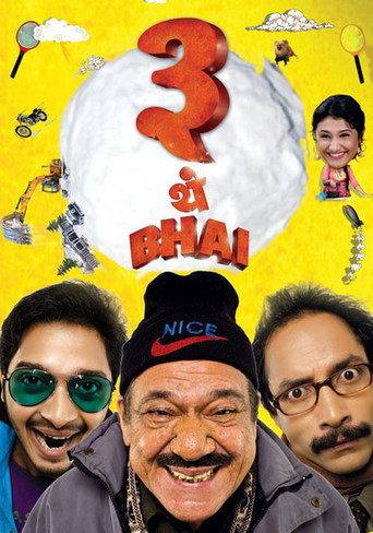 Teen Thay Bhai (2011)