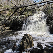 Beaver Brook Reservation, Belmont, MA