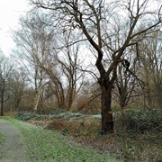 Schweenssand Nature Park