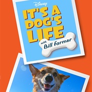 It&#39;s a Dog&#39;s Life With Bill Farmer