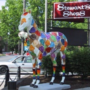 Horses Saratoga Style