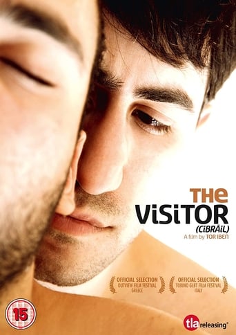 The Visitor (2011)
