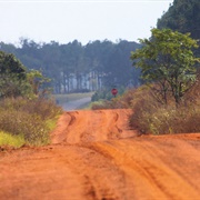Georgia Red Clay