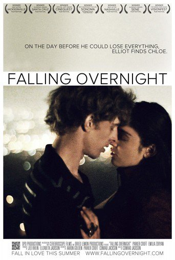 Falling Overnight (2012)